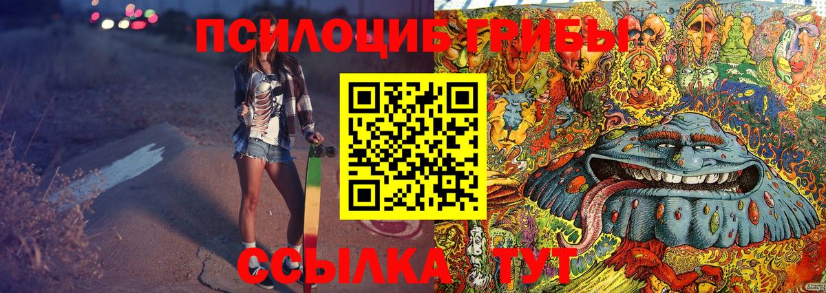 Волжский  Псилоцибиновые грибы прущие грибы  где продают   Псилоцибиновые грибы Magic Shrooms  Вход с VPN 